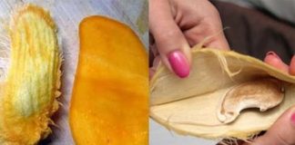 Hàng tá tác dụng tuyệt vời của hạt xoài bạn nên biết