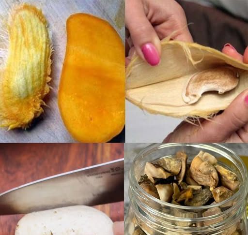 Hàng tá tác dụng tuyệt vời của hạt xoài bạn nên biết