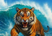 Thứ Hai, Thứ Ba (15-16/12): 3 tuổi Số Đỏ Bất Ngờ, Tiền Về Như Nước