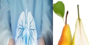 5 thực phẩm được ví là “máy hút bụi” cho phổi: Thường xuyên ăn, phổi sẽ được dọn sạch sẽ