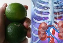 Đọc xong bài viết này, chắc chắn lúc nào bạn sẽ luôn mang theo bên mình 1 quả chanh, sẽ có lúc cứu sống bạn đấy