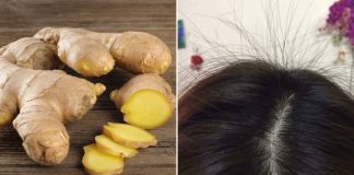 Cách gội đầu bằng gừng tươi trị gàu hiệu quả, da đầu sạch bong, tóc con mọc lên tua tủa