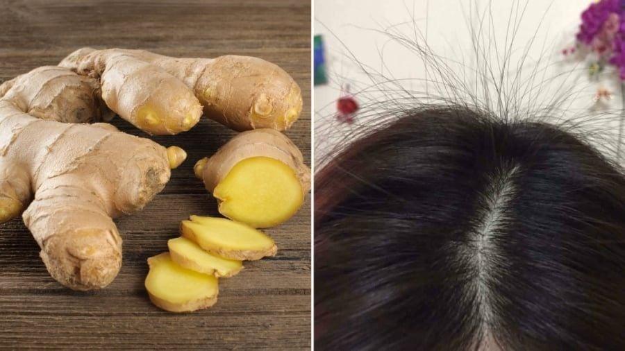 Gội đầu bằng gừng không chỉ giúp đánh bay gàu, làm sạch da đầu mà còn giảm gãy rụng