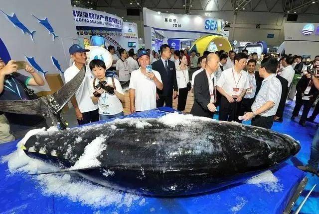 Cá biển lớn giàu dinh dưỡng nhưng chứa hàm lượng thủy ngân cao, không nên ăn quá nhiều.