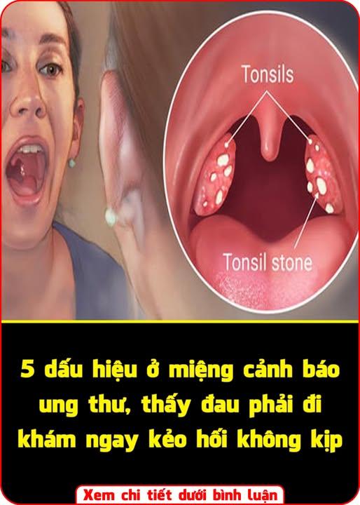 625843987_122273298404237477_8489541831563558392_n