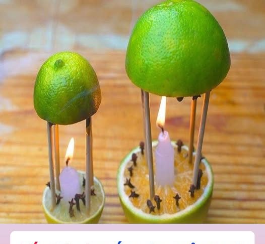 Lấy thứ này cắm vào quả chanh rồi để góc nhà, muỗi một đi không trở lại