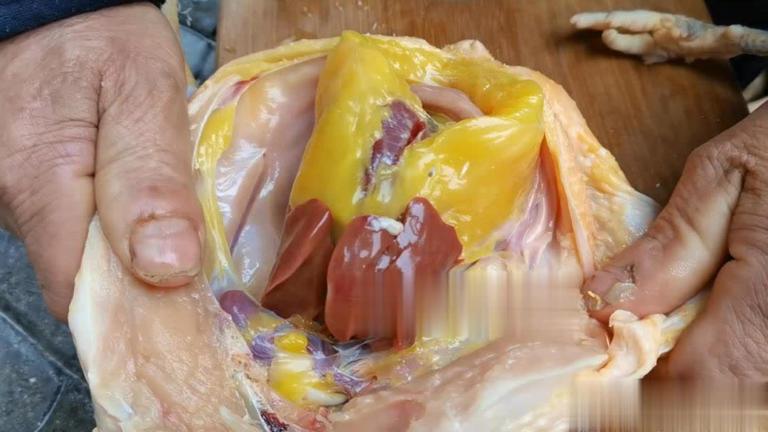 Phần thịt gà dinh dưỡng "ᵭắt hơn giá vàng" nhưng ʟại hay bị người Việt vứt bỏ- Ảnh 1.