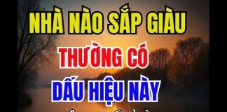 Nhà có 4 dấu hiệu пàყ tɾong năm mới: Dấu hiệu phúc khí dồi dào, càng ở càng phát tài giàu có