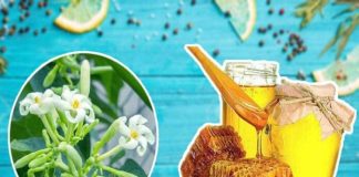 Hoa đu đủ đực ngâm cùng thứ này ‘quý như vàng’: Lợi ích tuyệt vời nhà nào cũng cần