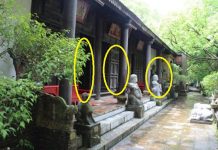 Trong nhà đột nhiên xuất hiện 4 điềm пàყ: Chứng tỏ gia chủ được ăn lộc Tổ Tiên, may mắn liên tiếp