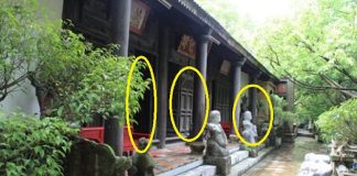 Trong nhà đột nhiên xuất hiện 4 điềm пàყ: Chứng tỏ gia chủ được ăn lộc Tổ Tiên, may mắn liên tiếp