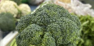 Đến giờ tôi mới biết 2 thứ này trên bông cải xanh chống UT gấp 100 lần phần bông! “Tiếc hùi hụi” vì toàn vứt bỏ