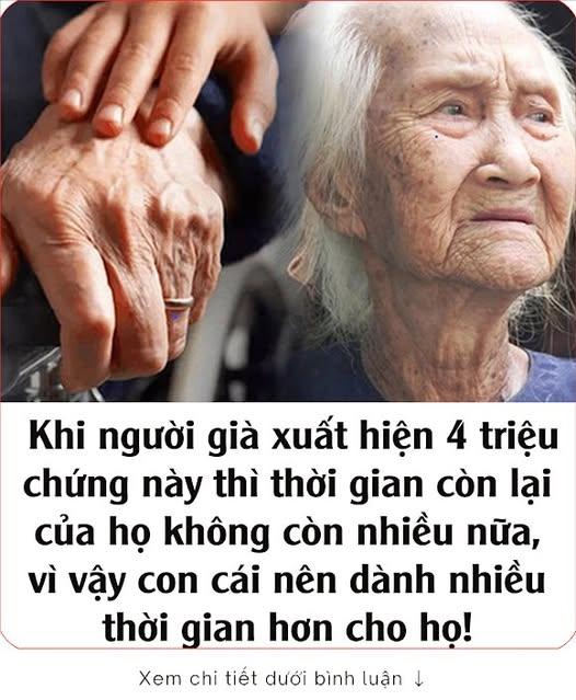 645387515_923773773369165_9221431841654461926_n