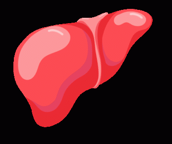 2 vợ chồng ngoài 50 tuổi cùng lúc phát hiện ung thư gan, bác sĩ cảnh báo: Bỏ ngay 3 loại thực phẩm này đi, để trong tủ lạnh cũng không được!- Ảnh 3.