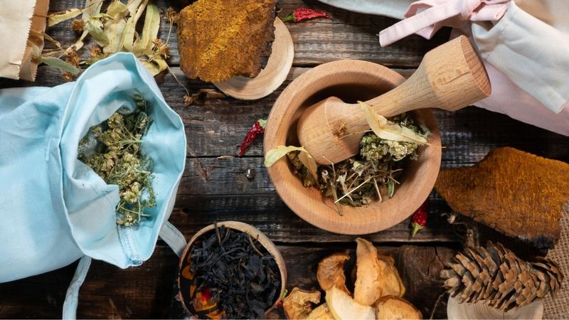 Cây vòi voi có uống được không? Lưu ý khi dùng cây vòi voi 2