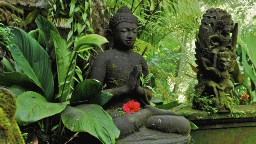 Phước nghiệp của mȏ̃i người hiển ʟọ̑ trong mọi hình tướng