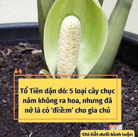 487489981_963221956006747_1837141958428395474_n