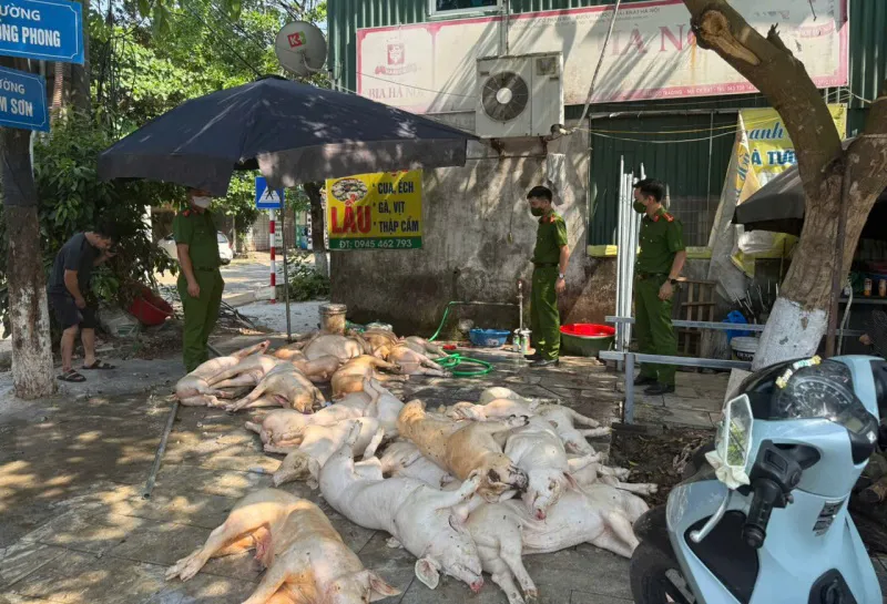 Vĩnh Phúc: phát hiện hơn 1 tấn thịt lợn “bẩn” chuẩn bị đưa lên bàn ăn