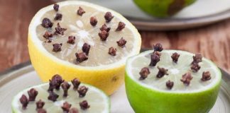 Cắt đôi quả chanh rồi cắm thứ này vào, muỗi sợ không dám vo ve, yên tâm mà ngủ