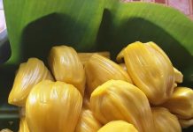 5 nhóm người không nên ăn mít dù thơm ngon, bổ dưỡng