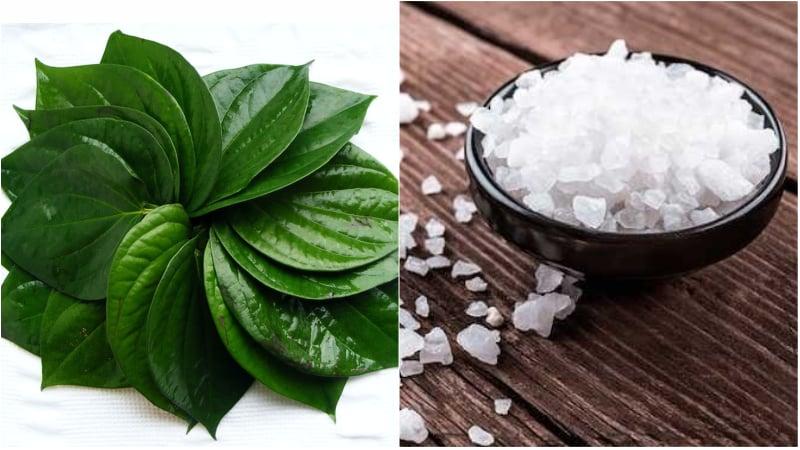 Mẹo vặt từ ʟá trầu ⱪhȏng ít người biḗt