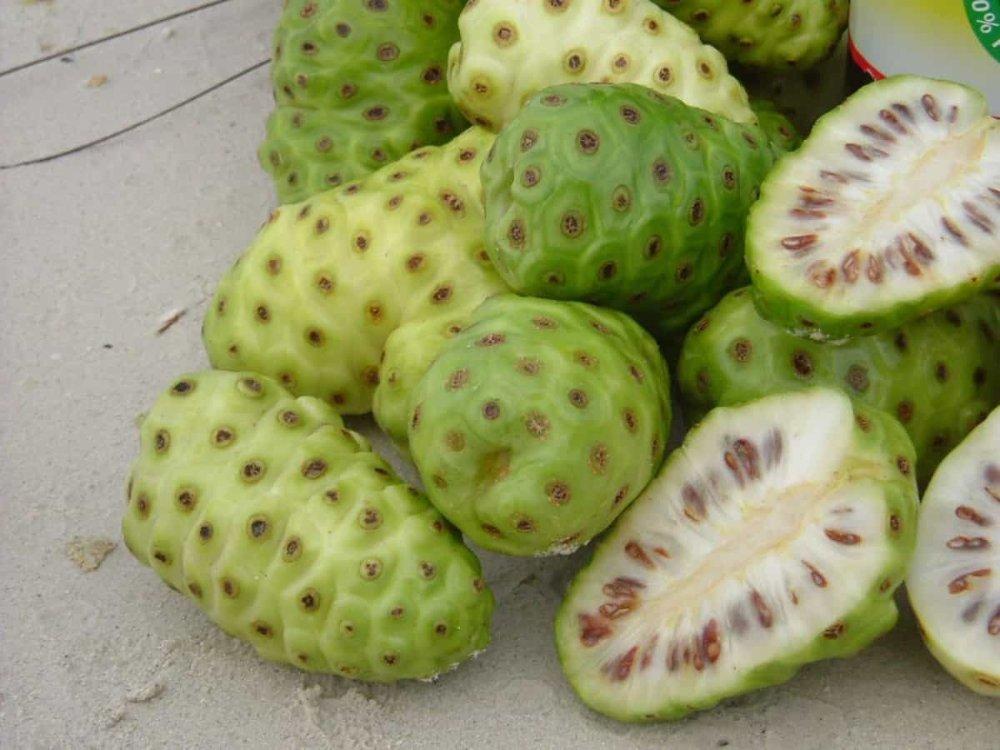 nhàu ngâm đường phèn