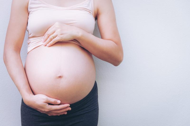 Cây vòi voi có uống được không? Lưu ý khi dùng cây vòi voi 3