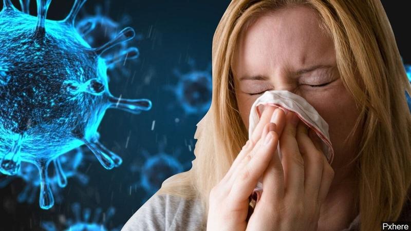 Tác dụng tuyệt vời của rau kinh giới.